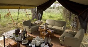 Luxury camping in the Serengeti