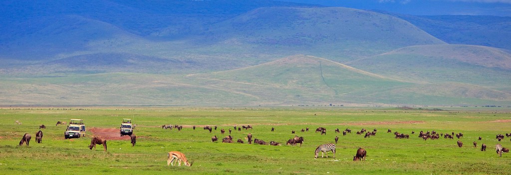 Tanzania Express safari Ngorongoro Crater game viewing