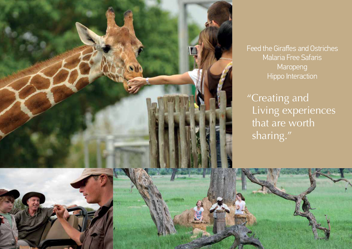 The Great Safari Experience 24