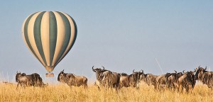 Kenya Flying Safari hot air ballon with gnus