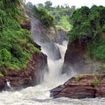 safaris visiting Uganda Murchison Falls