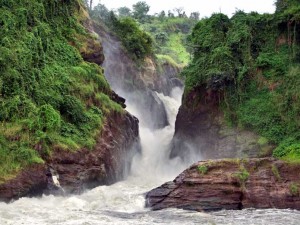 Uganda Discovery Safari